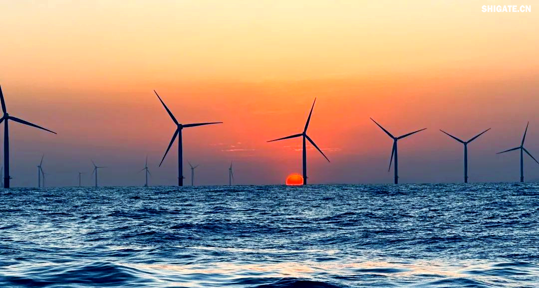 舞鋼公司得知大唐南澳勒門(mén)I海上風(fēng)電擴建項目的信息后，迅速組建了一支專(zhuān)門(mén)針對該項目的海上風(fēng)電鋼攻關(guān)團隊。該團隊由銷(xiāo)售、科技、生產(chǎn)、質(zhì)量等部門(mén)的杰出人才組成，目的是克服該項目鋼板單重大、生產(chǎn)難度高的挑戰，為營(yíng)銷(xiāo)系統提供全面的支援。團隊與設計院、施工單位和業(yè)主進(jìn)行了深入的交流和討論，針對生產(chǎn)過(guò)程中遇到的難題，與相關(guān)方進(jìn)行了多輪討論，并制定了專(zhuān)門(mén)的生產(chǎn)技術(shù)方案，以加快交貨速度，滿(mǎn)足施工需求，節約施工成本，最終贏(yíng)得了客戶(hù)的認可。在生產(chǎn)過(guò)程中，舞鋼公司精心組織，全力以赴推進(jìn)合同生產(chǎn)，確保了訂單的高質(zhì)量和及時(shí)交付，為項目的建設提供了堅強的支持。